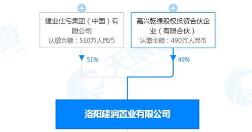 洛陽王城橋北cbd建業(yè)洛神廣場,背后 靠山 實力雄厚